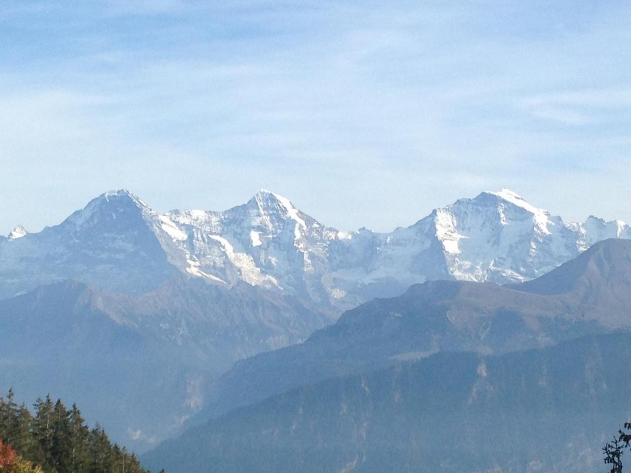 Swiss Seeblick Apartment Mit Hotelanbindung Beatenberg Zewnętrze zdjęcie
