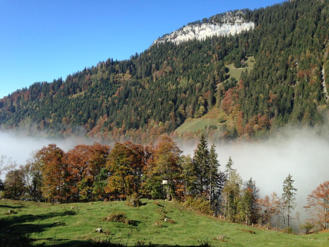 Swiss Seeblick Apartment Mit Hotelanbindung Beatenberg Zewnętrze zdjęcie
